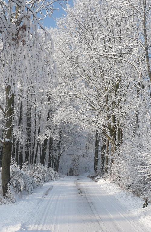 Chaty Pod Sokolim Hrbetem Česká Ves Exterior foto