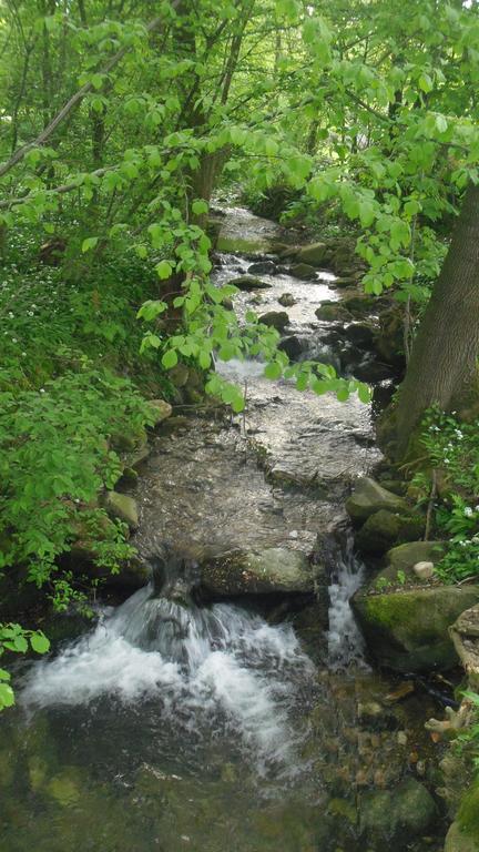 Chaty Pod Sokolim Hrbetem Česká Ves Exterior foto